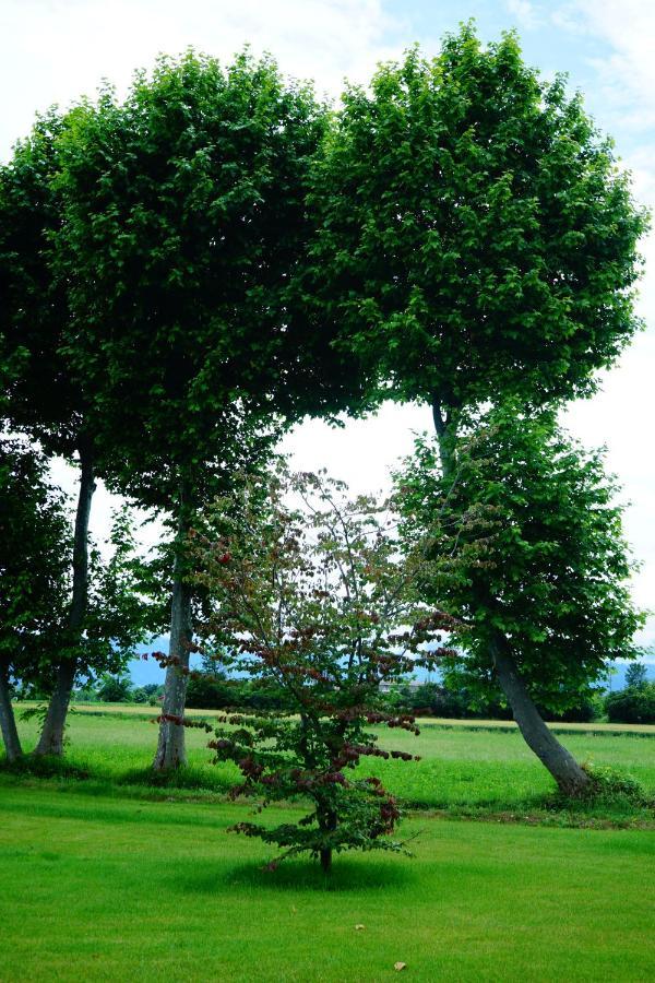 Casa Vola Bisalta Bed and Breakfast Cuneo Buitenkant foto